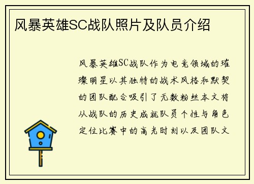 风暴英雄SC战队照片及队员介绍